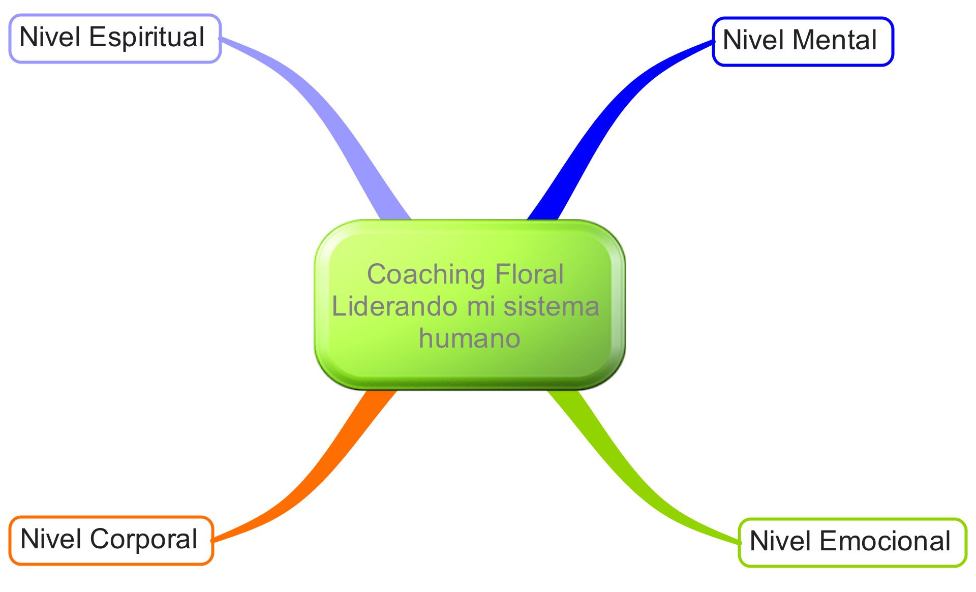 cuatro niveles del coaching flloral