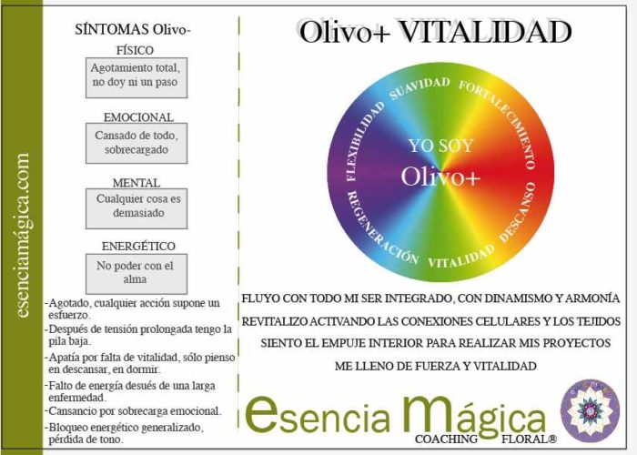 tarjeta coaching floral olivo-vitalidad