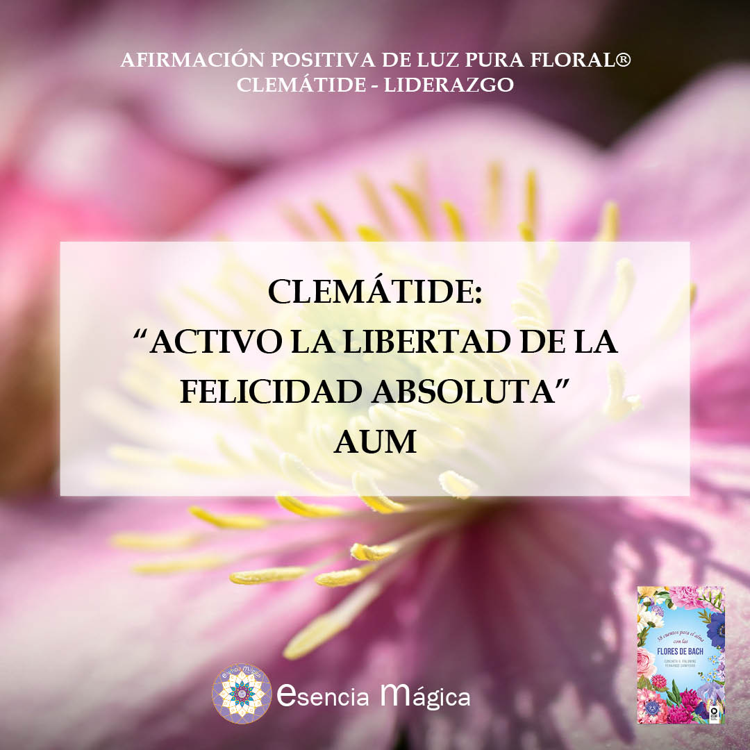 Afirmación positiva de Luz Pura Floral. Clemátide-Liderazgo