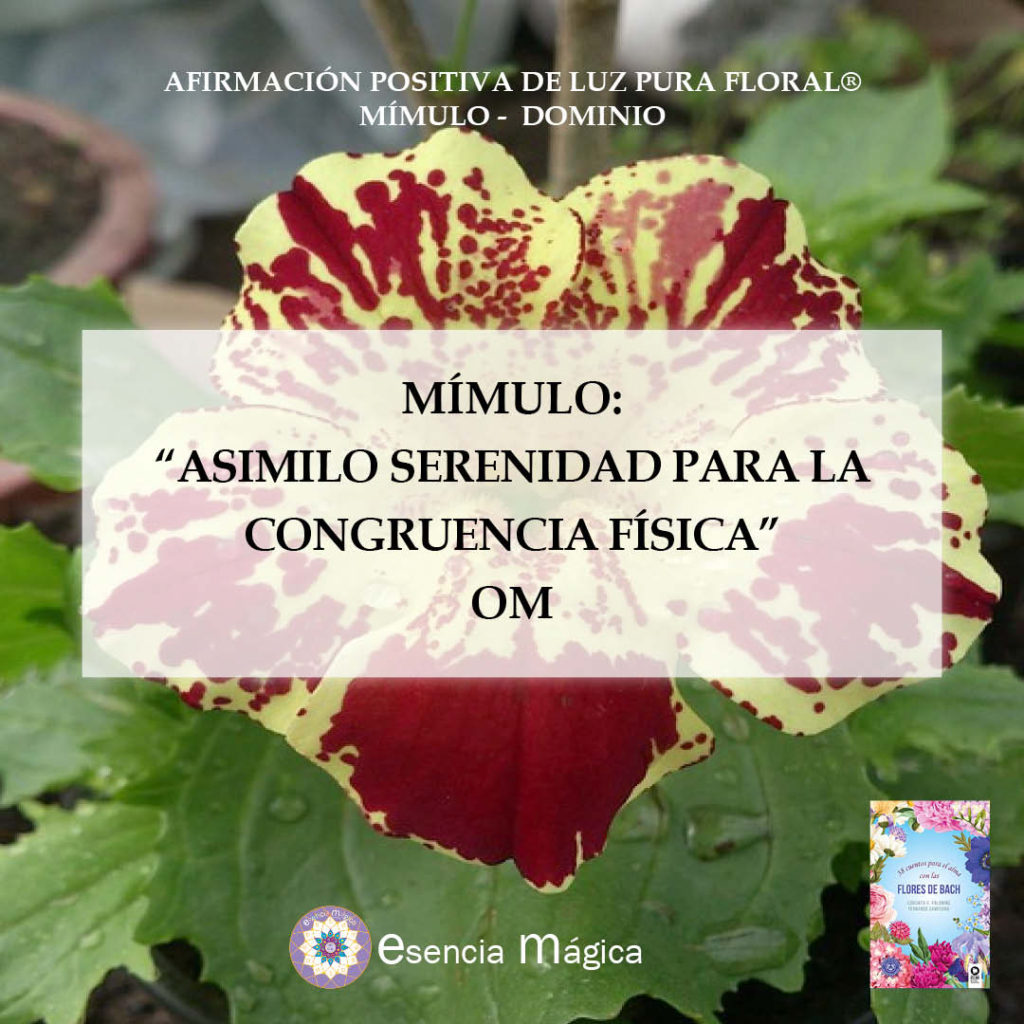 Afirmación Positiva De Luz Pura Floral Mímulo Dominio Esencia Magica 3537