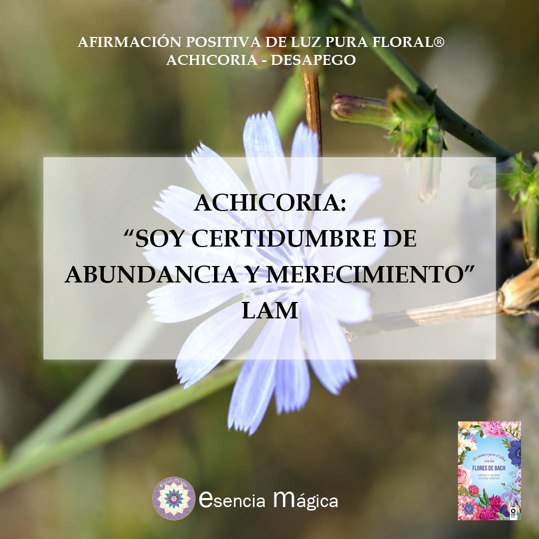 Afirmación positiva de Luz Pura Floral-Achicoria-desapego