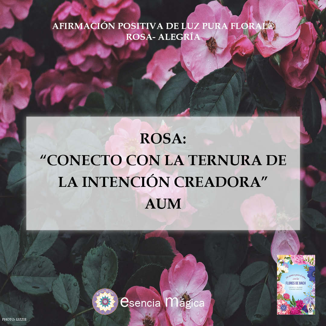 Afirmación positiva de Luz Pura Floral. Rosa Silvestre-Alegría