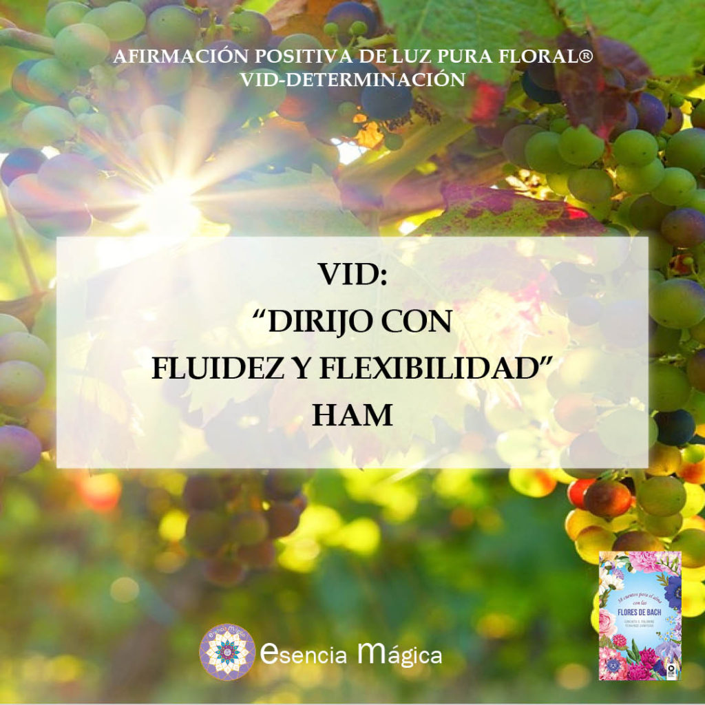 Afirmación Positiva De Luz Pura Floral Vid Determinación Esencia Magica 9322