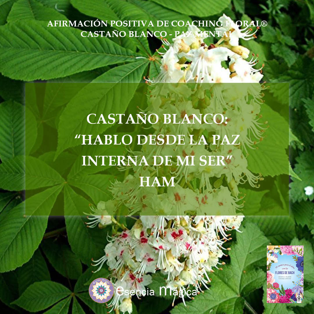Afirmación positiva de Luz Pura Floral. Castaño Blanco-Paz Mental