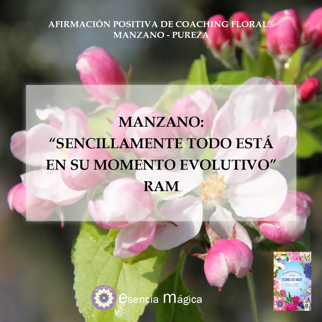 Afirmación positiva de Luz Pura Floral. Manzano-Pureza