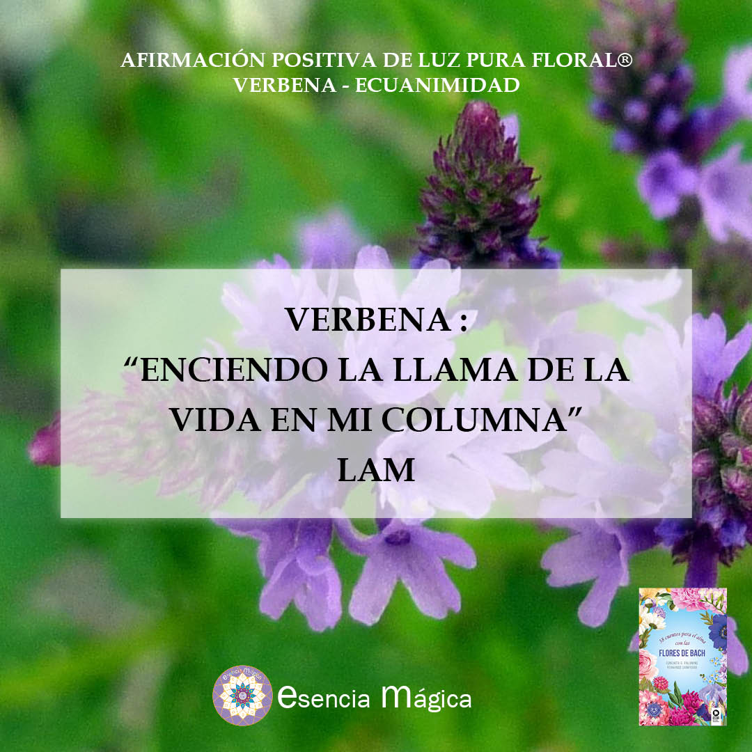 Afirmación positiva de Luz Pura Floral. Verbena-Ecuanimidad