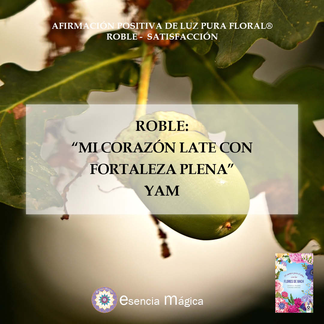 roble yam