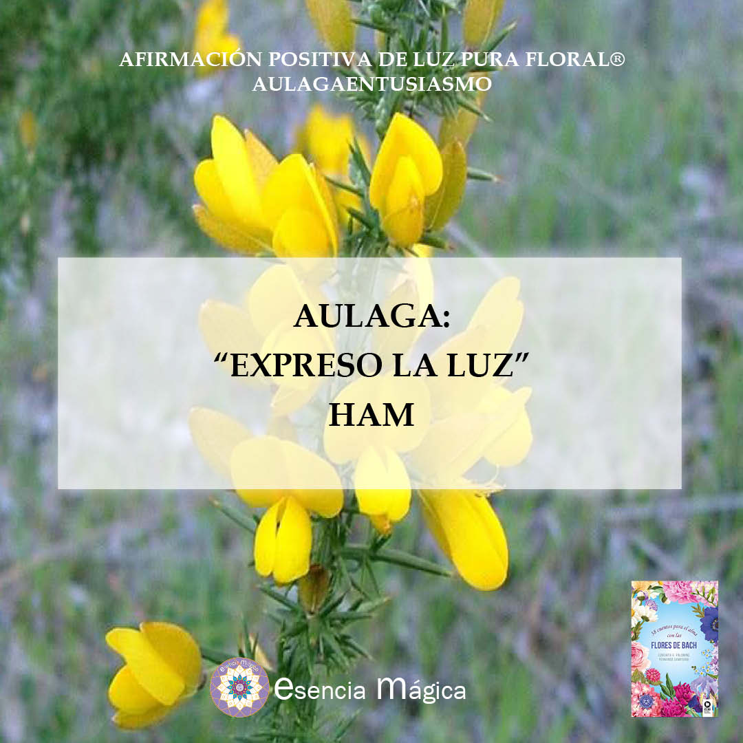 Afirmación positiva de Luz Pura Floral. Aulaga-Entusiasmo