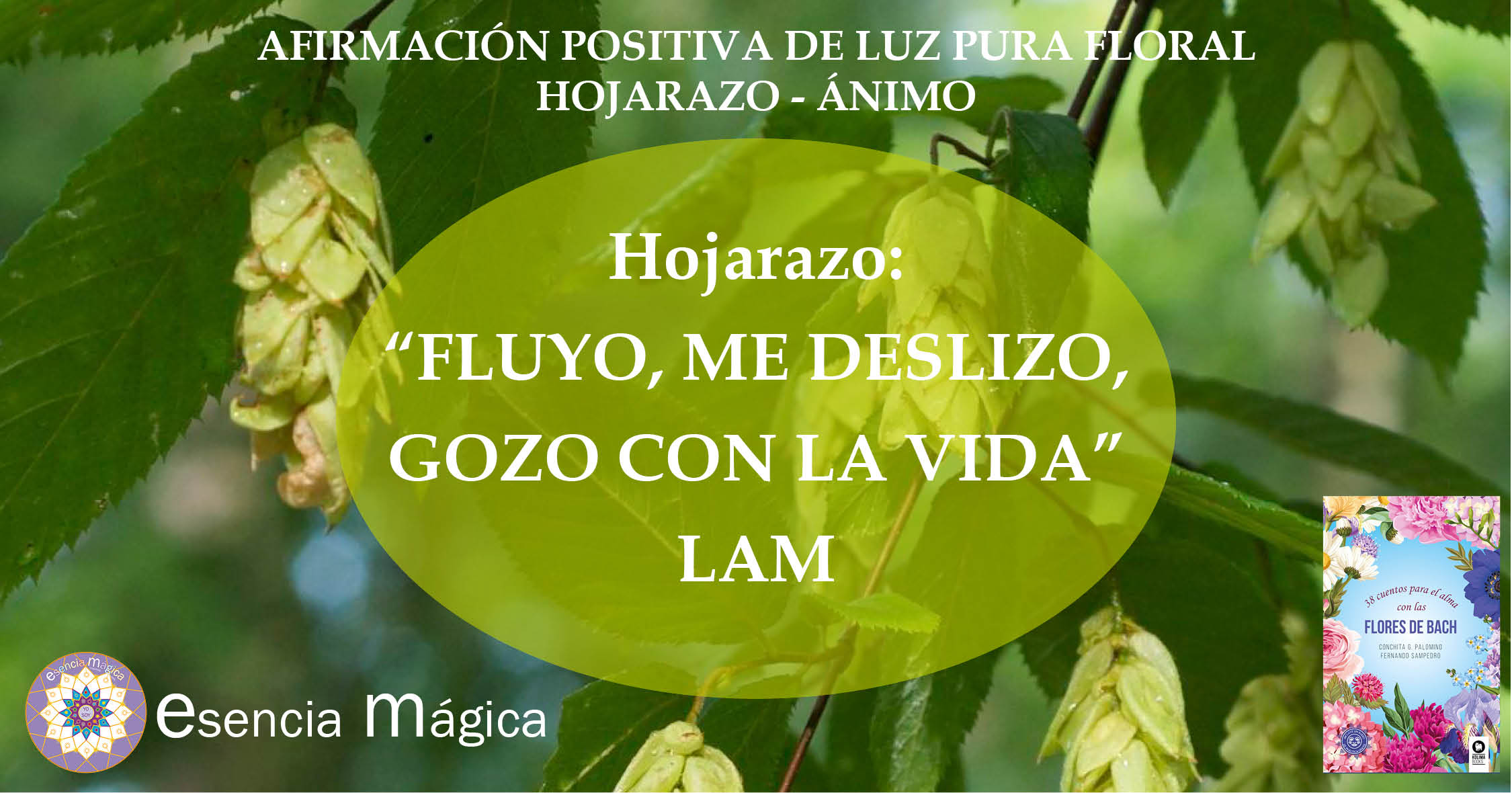Afirmación positiva de Luz Pura Floral. Hojarazo- Ánimo