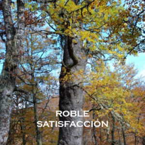 Roble-Satisfacción