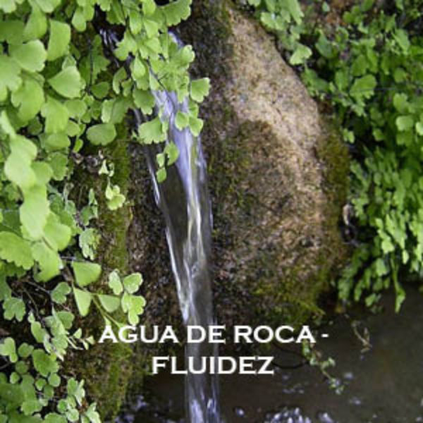 Agua de Roca-Fluidez. Versión Cristal