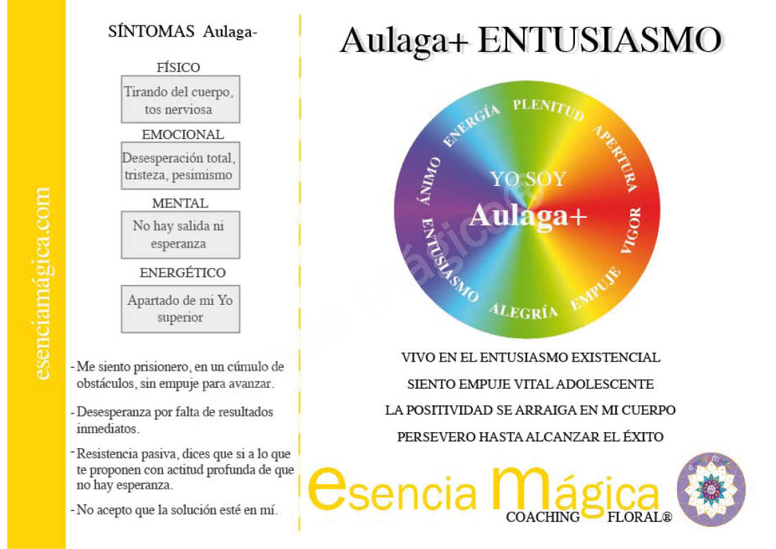 tarjetas aulaga web