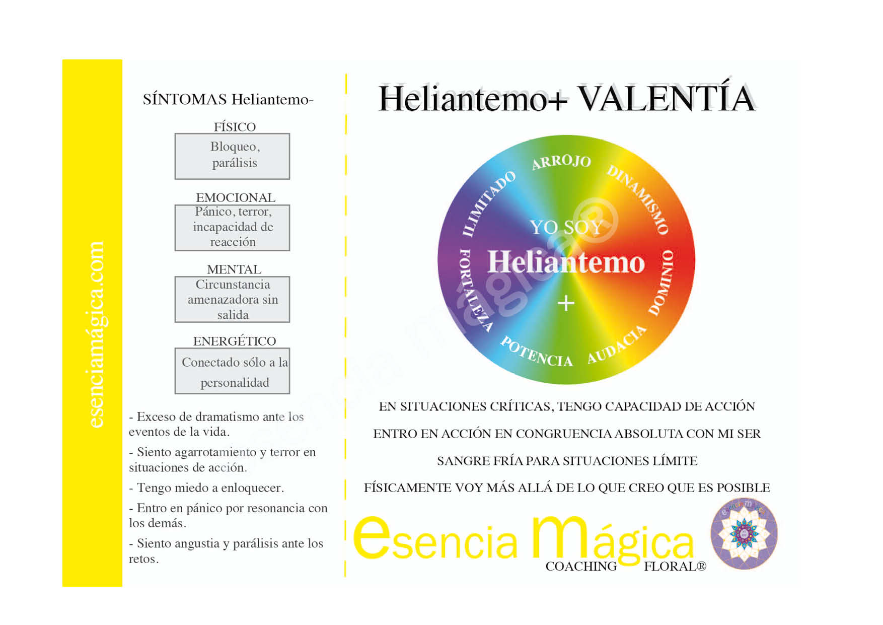 tarjetas heliantemo web heliantemo