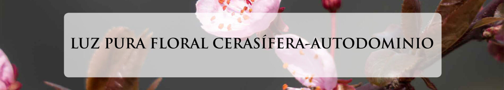 CERASIFERA