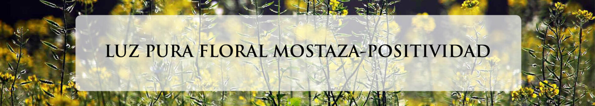 MOSTAZA