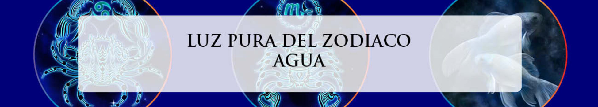 LUZ PURA DEL ZODIACO AGUA