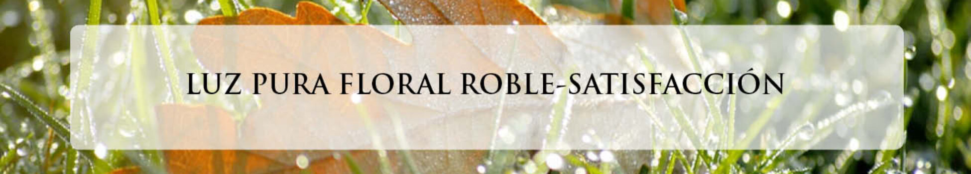 ROBLE