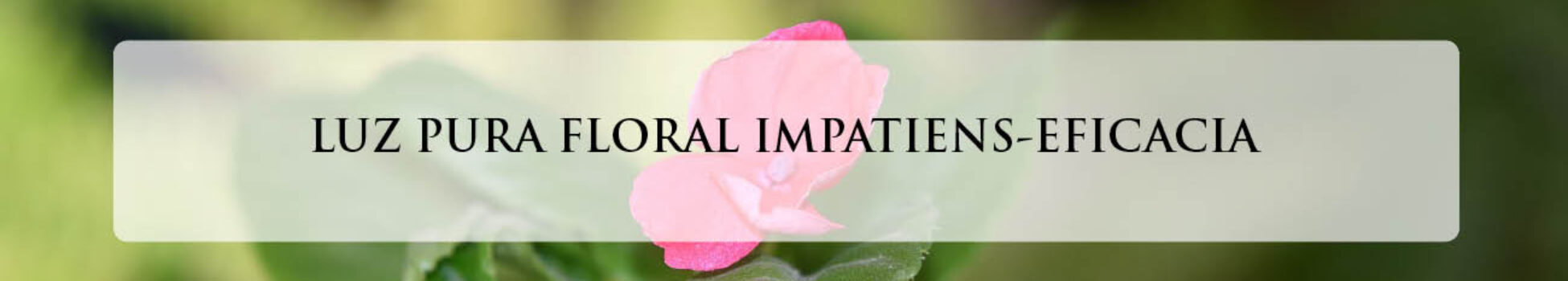 IMPATIENS