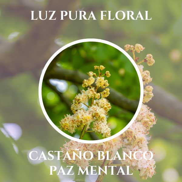 Luz Pura Floral Castaño Blanco-Paz Mental