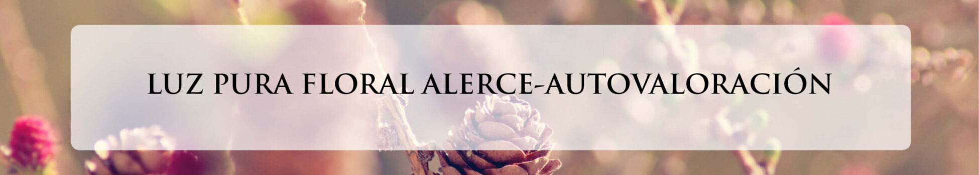 ALERCE