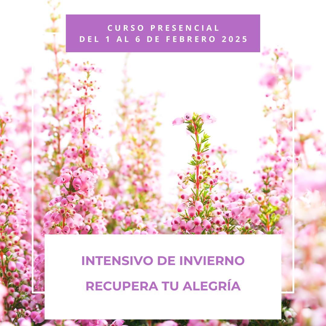 A través del método de Luz Pura Floral te invitamos a reconectar con tu alegría existencial, a reactivar tu vitalidad y a recuperar un estado integral de felicidad