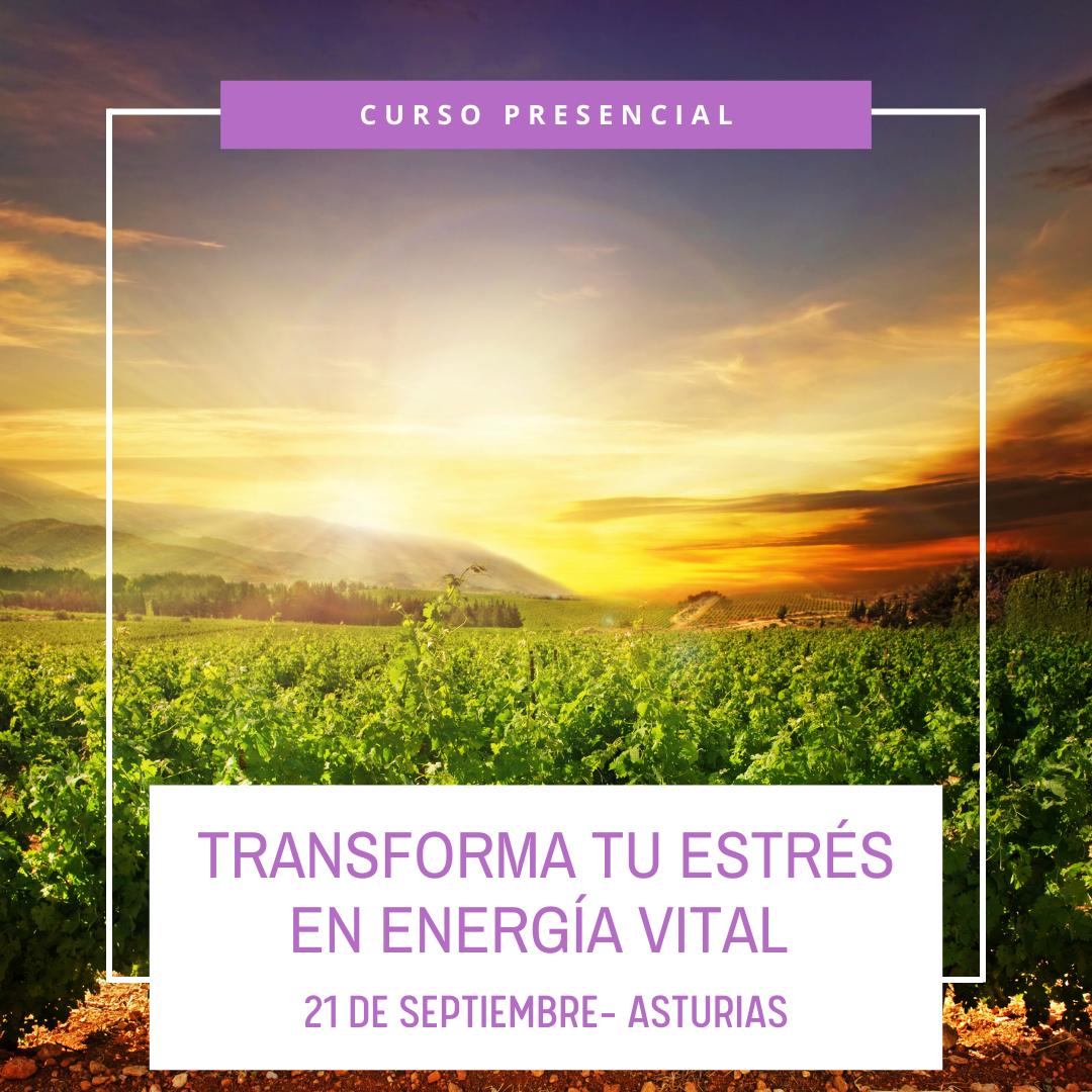 Activa tu presencia, eleva tu vibración, armonízate con la energía de tu esencia. 21 de Septiembre  en la Universidad Laboral de Gijón