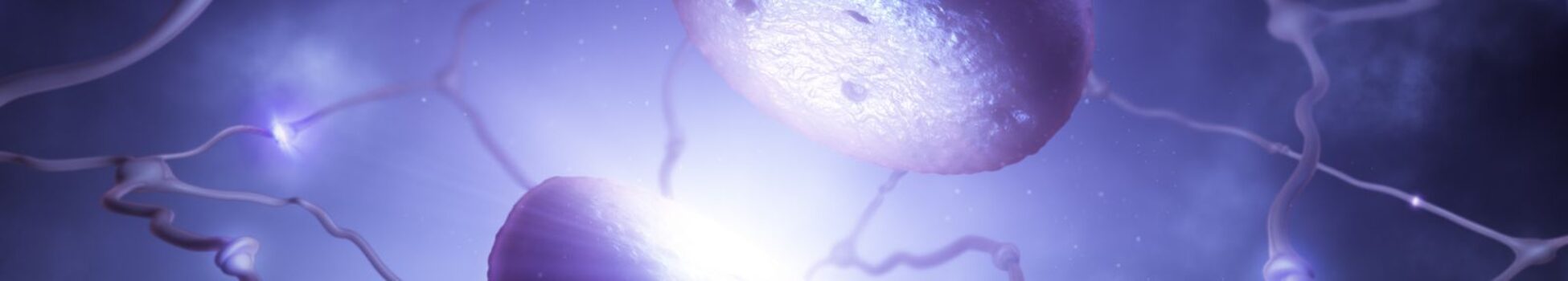 neurotransmisores